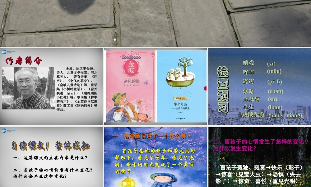 中学七年级语文上册 第29课 盲孩子和他的影子课件 (新版)新人教版 课件