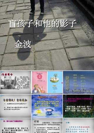 中学七年级语文上册 第29课 盲孩子和他的影子课件 (新版)新人教版 课件