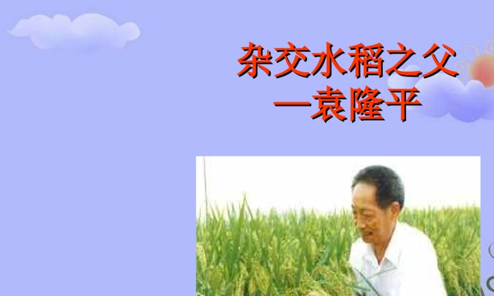 八年级语文上册 二单元第8课(杂交水稻之父－袁隆平)课件 语文版 课件