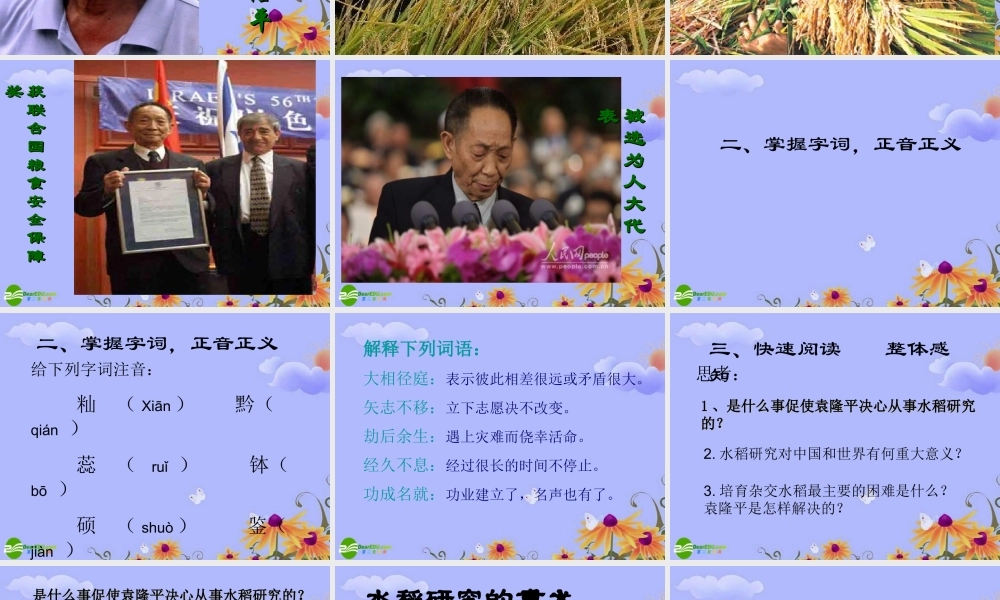 八年级语文上册 二单元第8课(杂交水稻之父－袁隆平)课件 语文版 课件