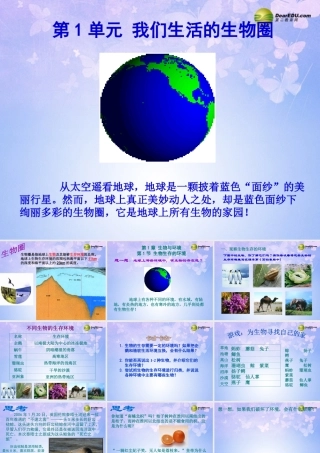 七年级生物上册 生物生存的环境课件 苏科版 课件