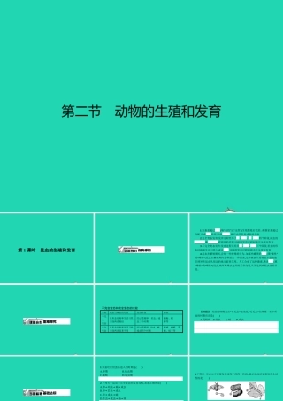 八年级生物下册 6.1.2 动物的生殖和发育(第1课时)课件 (新版)冀教版 课件