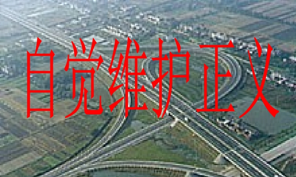 八年级政治下册 第十课自觉维护正义课件 人教新课标版 课件