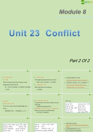 广东省高三英语第一轮总复习 Module8 Unit23 Conflict(2)课件 北师大版 新课标 课件