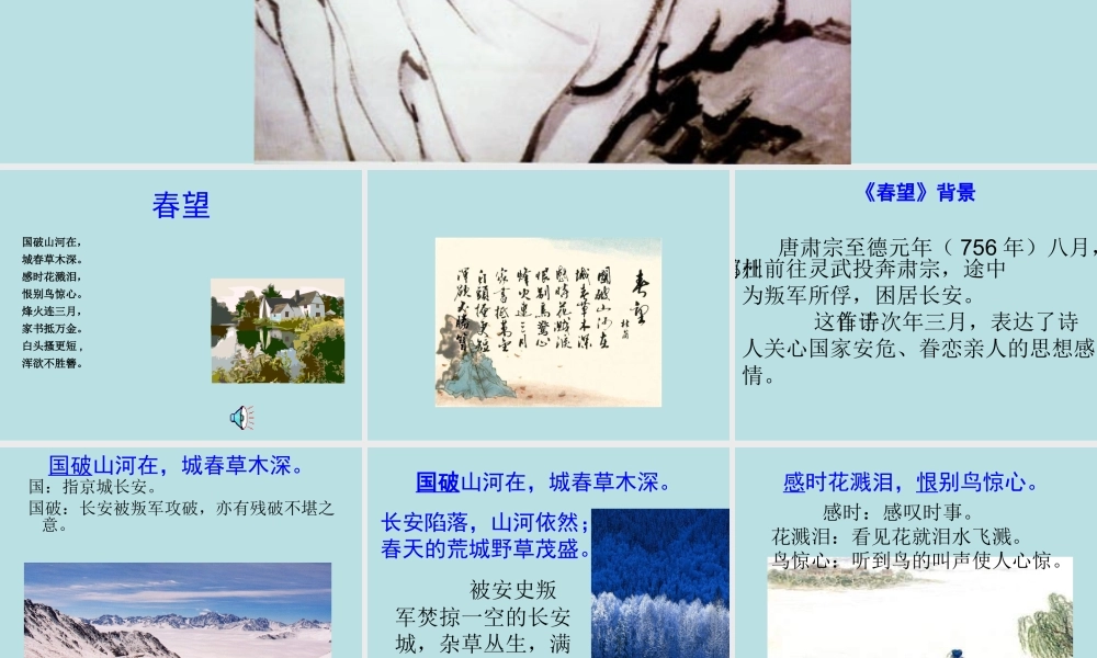 八年级语文春望课件1苏教版 课件