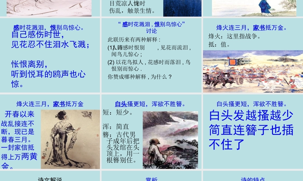 八年级语文春望课件1苏教版 课件