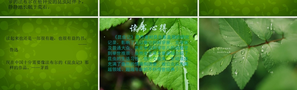 中学七年级语文下册 名著导读 昆虫记课件 新人教版 课件