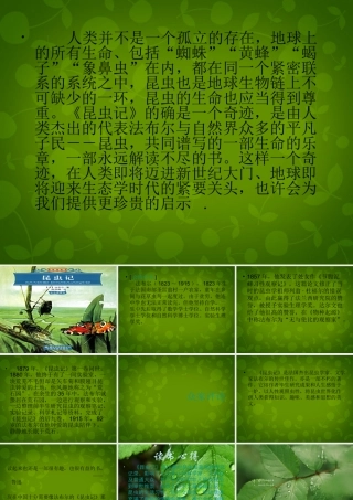 中学七年级语文下册 名著导读 昆虫记课件 新人教版 课件