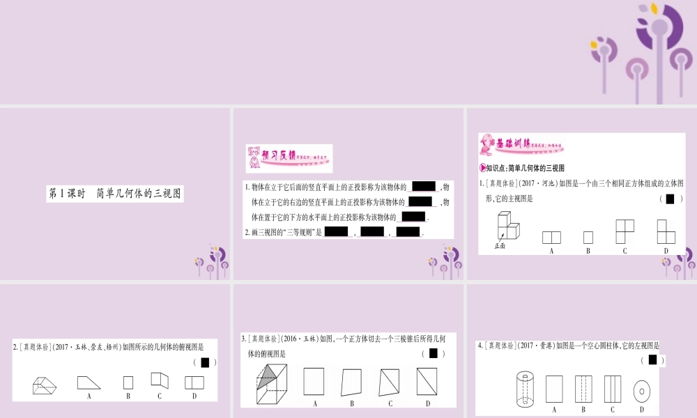 九年级数学下册 第3章 投影与视图 33 三视图 第1课时 作业课件 (新版)湘教版 课件