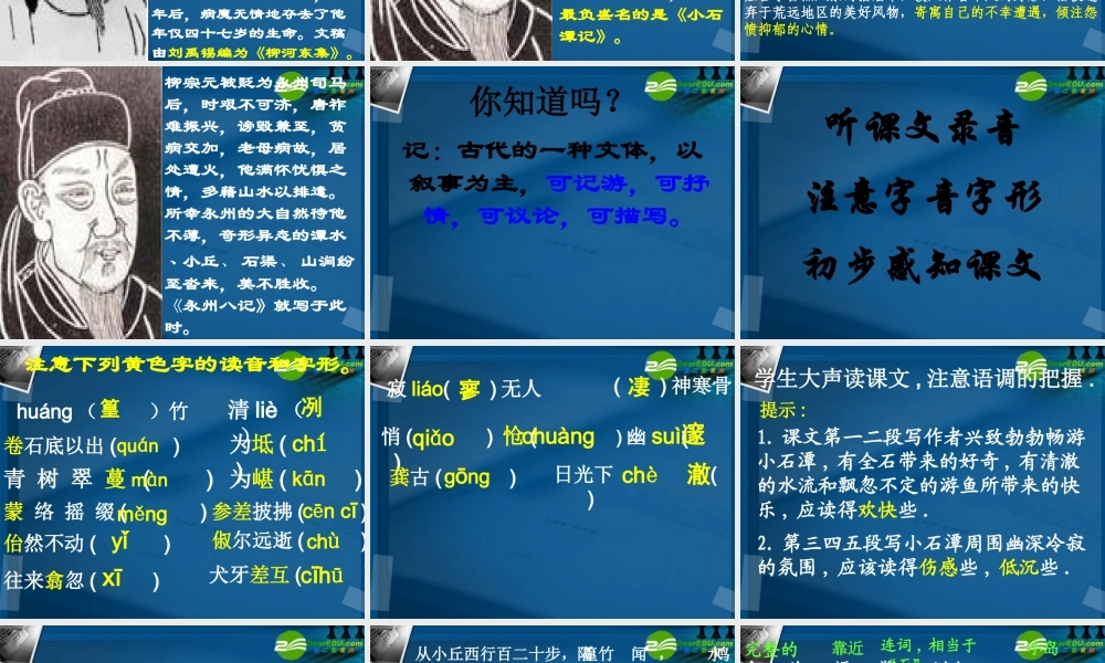八年级语文上册(小石潭记)课件4 苏教版 课件