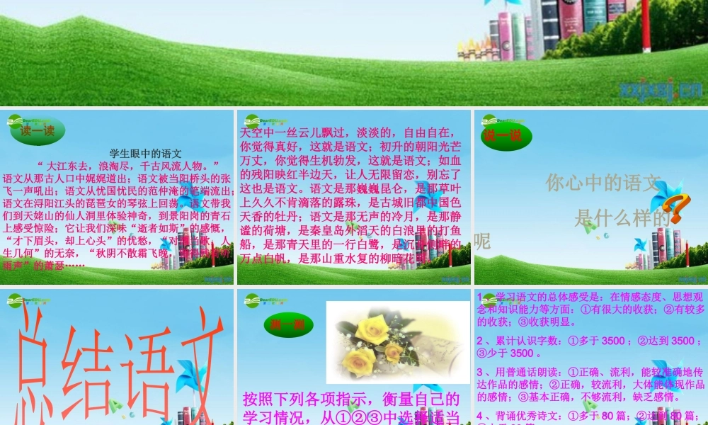 九年级语文下册 (我心中的语文)优秀实用课件 苏教版 课件