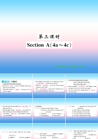 九年级英语全册 Unit 13 We re trying to save the earth(第3课时)习题课件 (新版)人教新目标版 课件