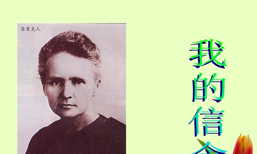 八年级语文下册 (我的信念)教学课件 河大版 课件