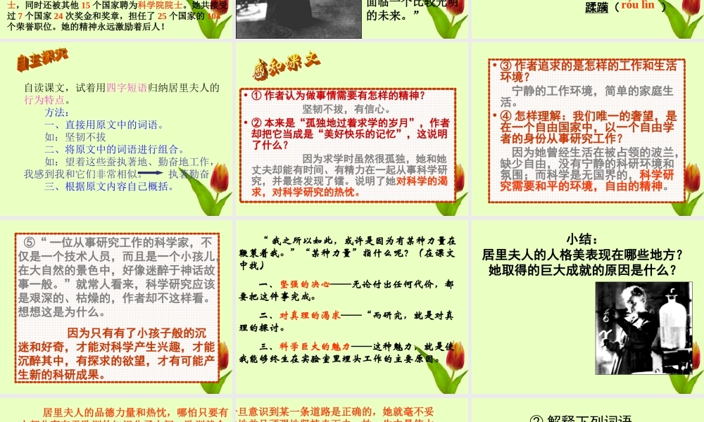 八年级语文下册 (我的信念)教学课件 河大版 课件