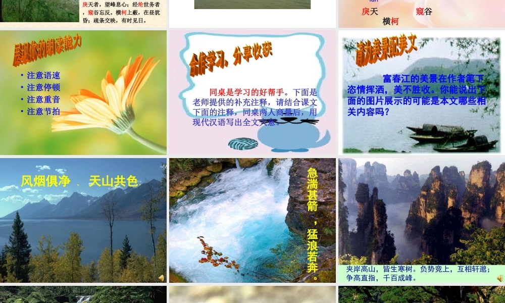 九年级语文上 与朱元思书 课件苏教版 课件