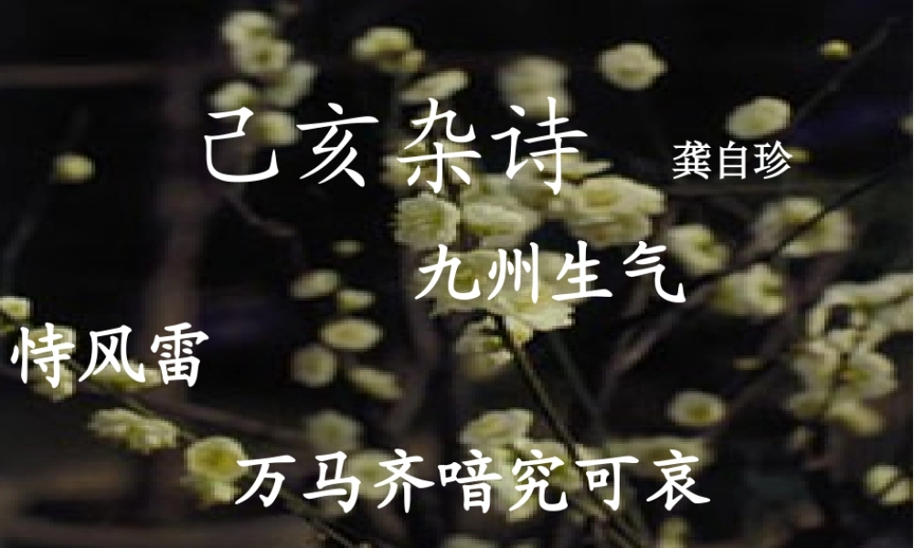 八年级语文下册 第六单元之(己亥杂诗)课件 新人教版 课件