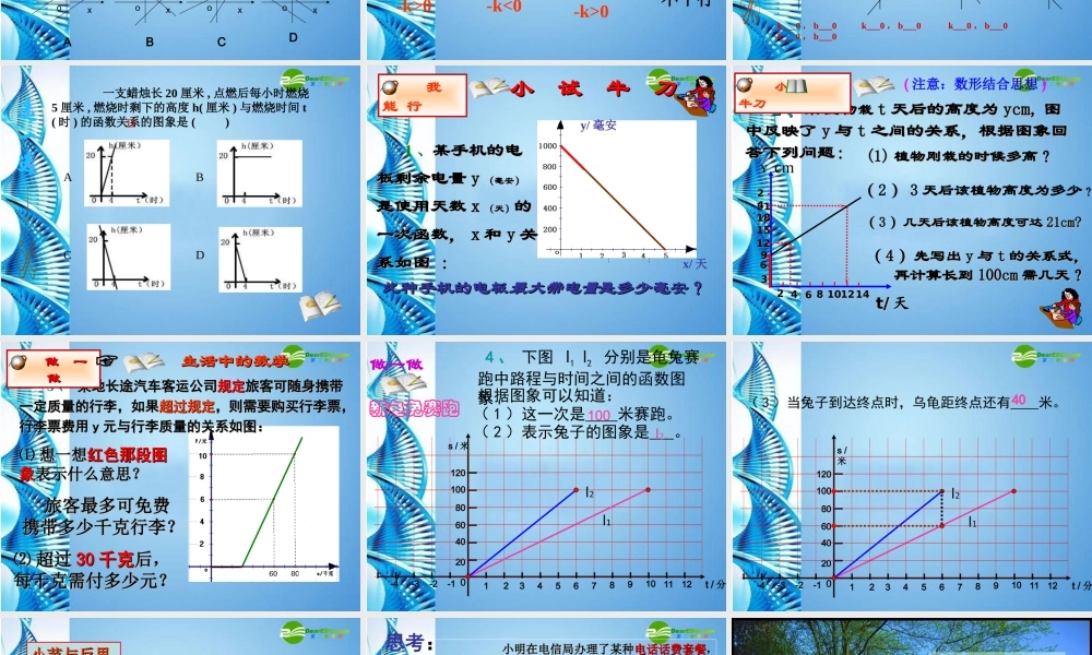 八年级数学上册 第六章(一次函数)复习课件 北师大版 课件