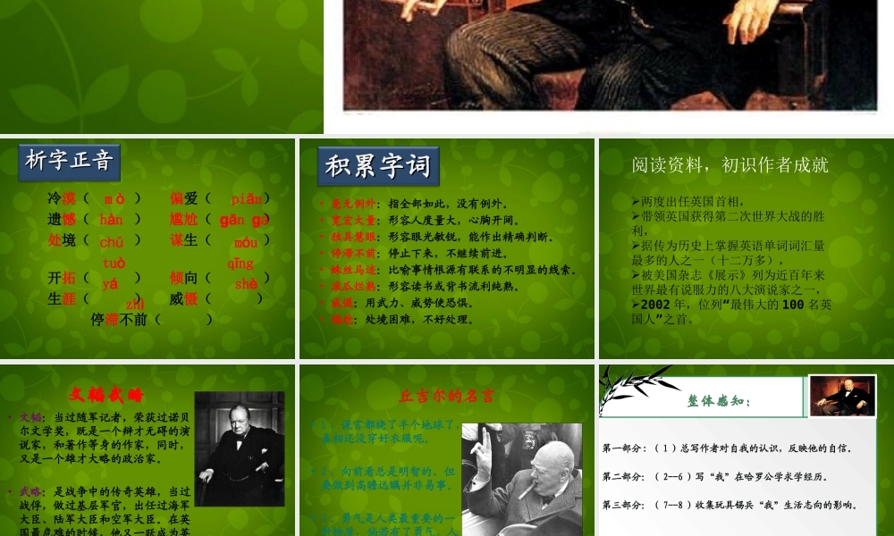 小学七年级语文上册 8 我的早年生活课件 (新版)新人教版 课件