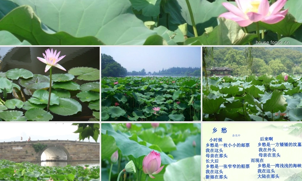 天津市高一语文(苏幕遮)课件