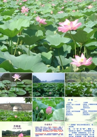 天津市高一语文(苏幕遮)课件