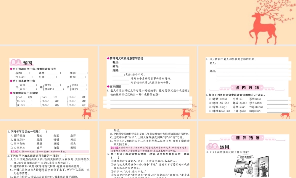 九年级语文下册 第五单元 19(枣儿)课堂过关演练课件 新人教版 课件