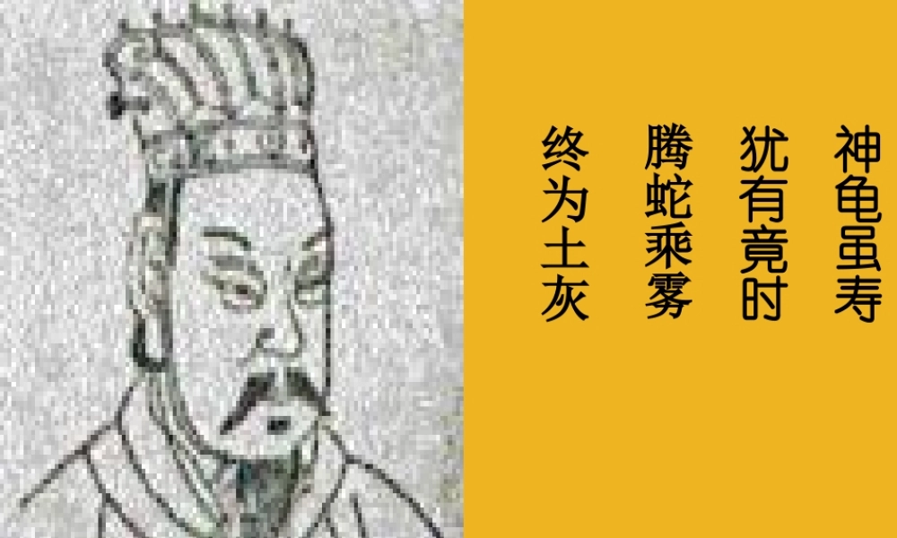 八年级科学下册 第八章第一节动物的有性生殖2课件 华东师大版 课件