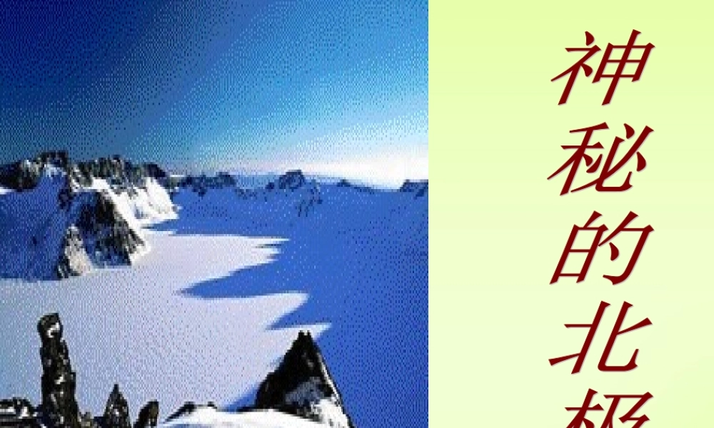 八年级语文下学期旅鼠之谜课件 新课标 人教版 课件