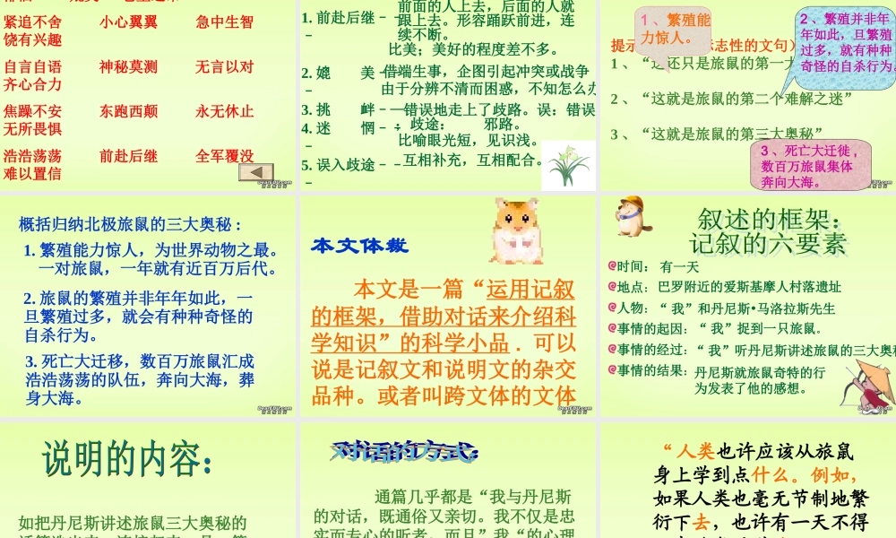 八年级语文下学期旅鼠之谜课件 新课标 人教版 课件