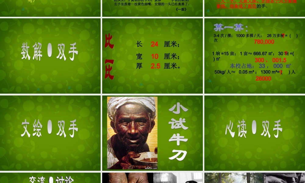 九年级语文上册 第六单元 25 一双手课件 苏教版 课件