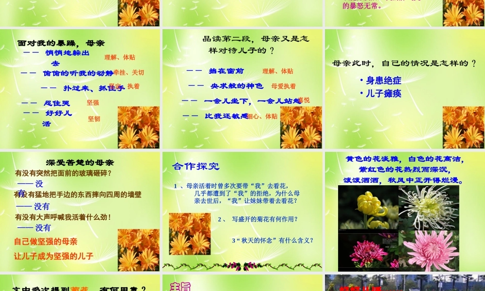 中学七年级语文上册 2 秋天的怀念课件 (新版)新人教版