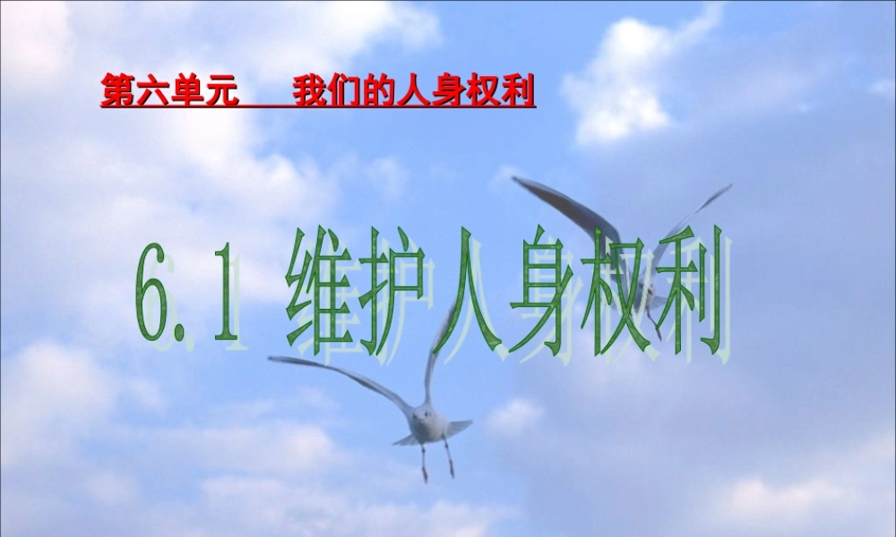 八年级政治下册 维护人身权力课件 粤教版 课件