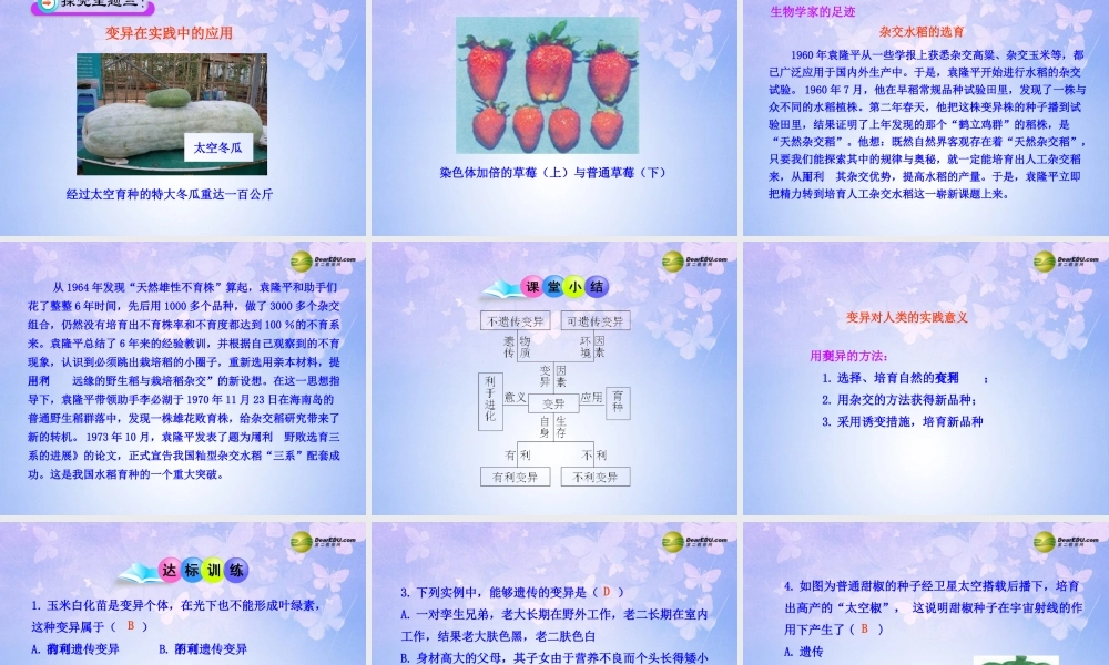 八年级生物上册 第四节 生物的变异课件 济南版 课件