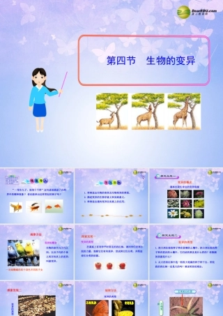 八年级生物上册 第四节 生物的变异课件 济南版 课件