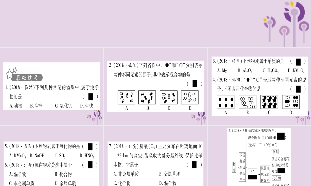 中考化学复习 第一部分 基础知识 第二单元 化学基本概念和原理 第10讲 物质的分类(精练)课件