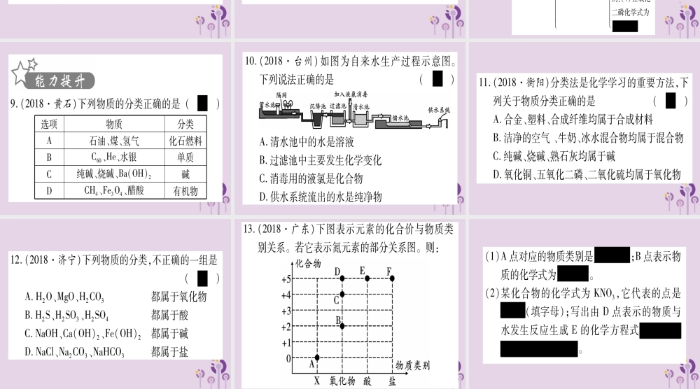 中考化学复习 第一部分 基础知识 第二单元 化学基本概念和原理 第10讲 物质的分类(精练)课件