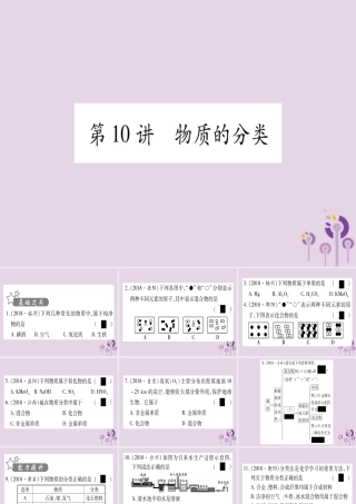 中考化学复习 第一部分 基础知识 第二单元 化学基本概念和原理 第10讲 物质的分类(精练)课件