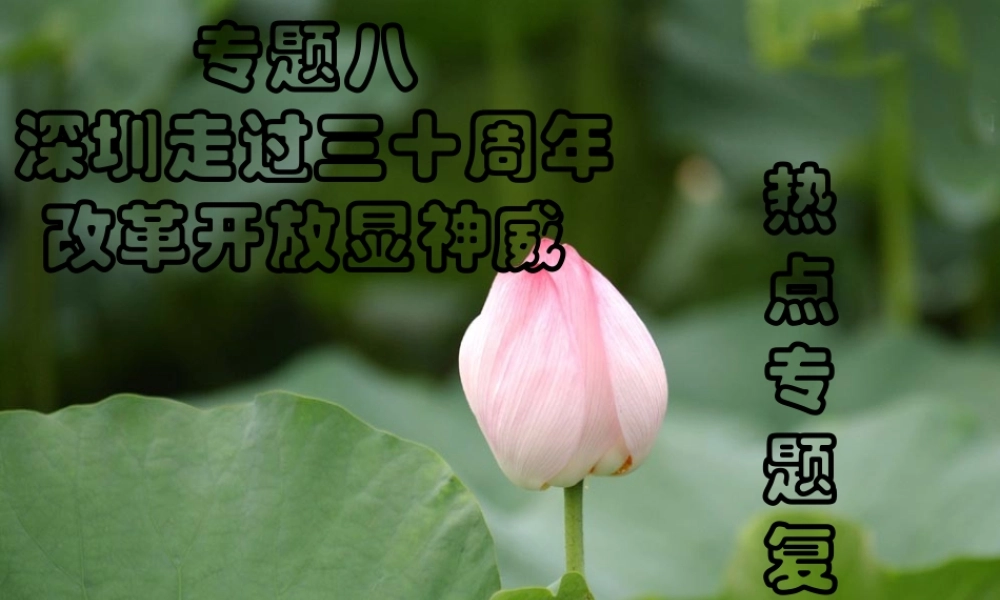 改革开放显神威 课件