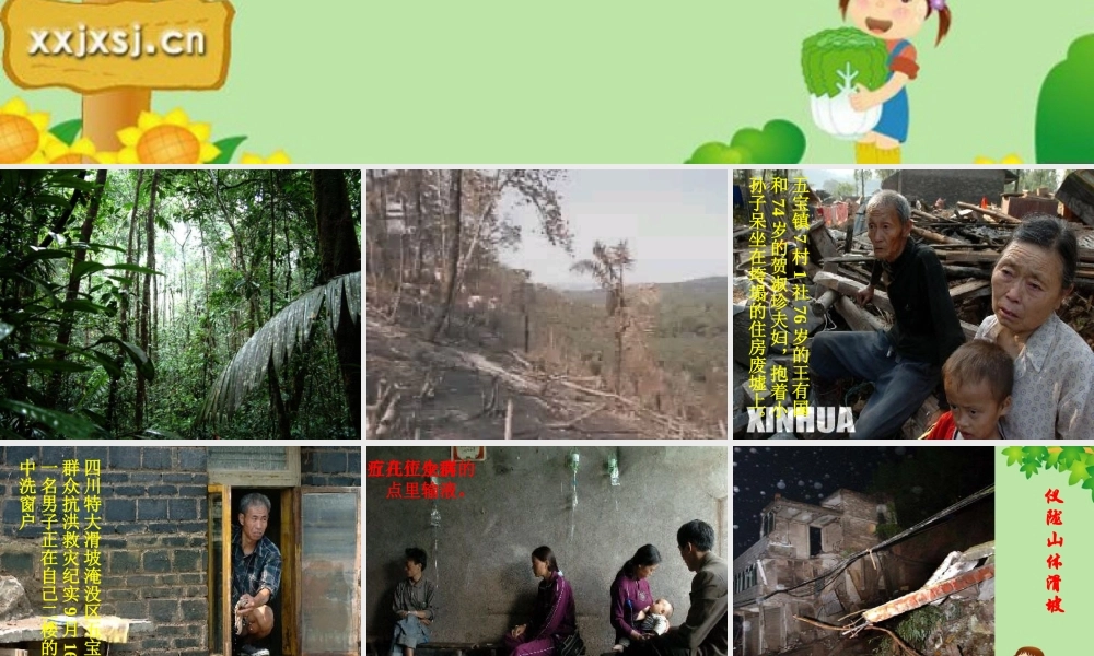 八年级语文上册 18.雨林的毁灭课件 语文版  课件