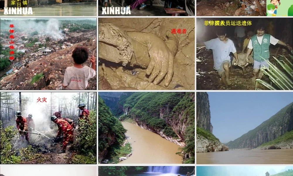 八年级语文上册 18.雨林的毁灭课件 语文版  课件