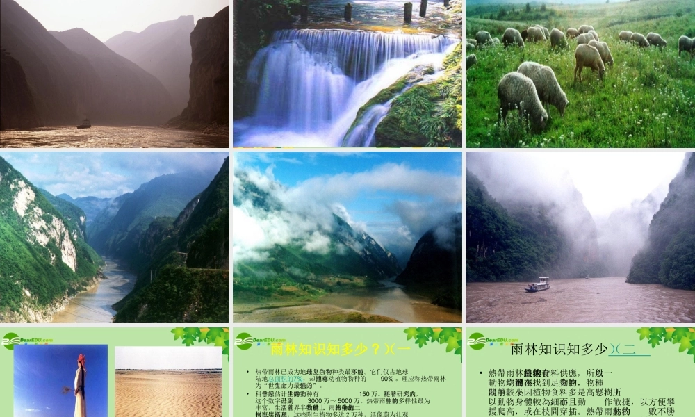 八年级语文上册 18.雨林的毁灭课件 语文版  课件