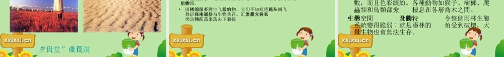 八年级语文上册 18.雨林的毁灭课件 语文版  课件