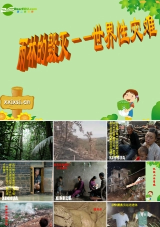 八年级语文上册 18.雨林的毁灭课件 语文版  课件