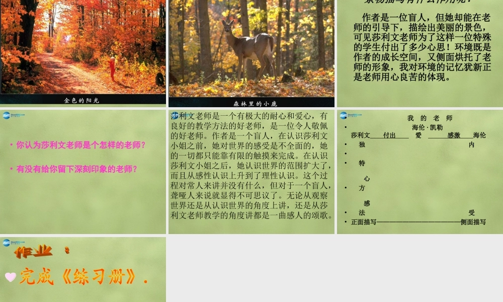 中学七年级语文上册 7 我的老师课件1 (新版)语文版 课件