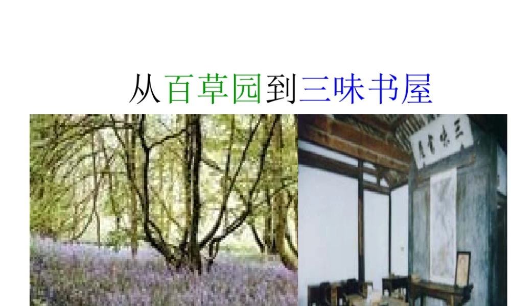 从百草园到三味书屋课件 人教版 课件