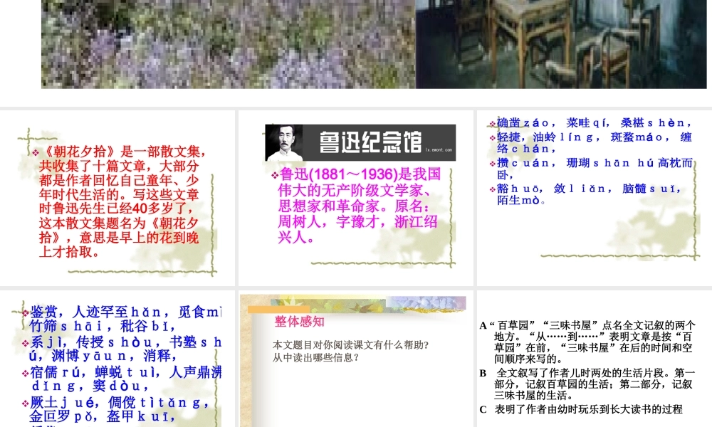 从百草园到三味书屋课件 人教版 课件