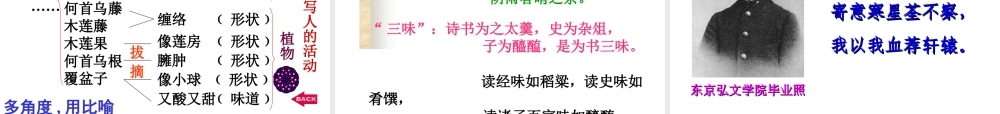 从百草园到三味书屋课件 人教版 课件