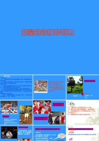 七年级生物上：第6章第1节 能量的释放和利用 课件苏科版 课件