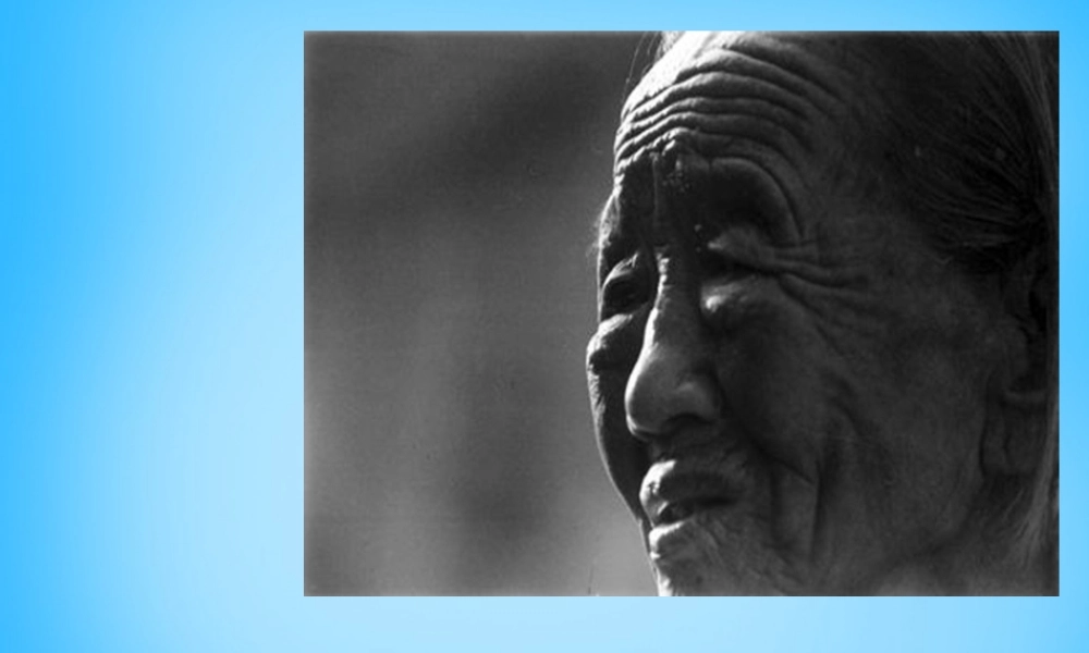 八年级语文下册 第2课(我的母亲)课件 新人教版 课件