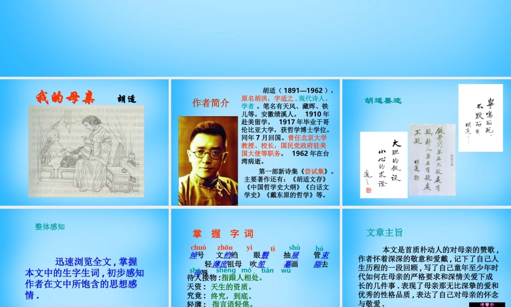 八年级语文下册 第2课(我的母亲)课件 新人教版 课件