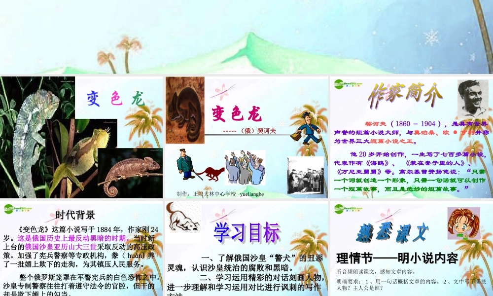 九年级语文下册(变色龙)优秀课件(52页) 人教新课标版 课件